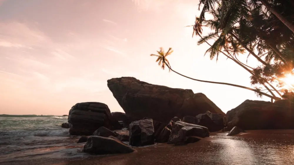 19 amazing Things To Do In Sri Lanka
