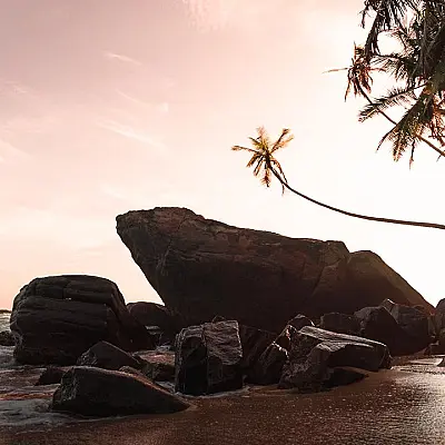 19 amazing Things To Do In Sri Lanka