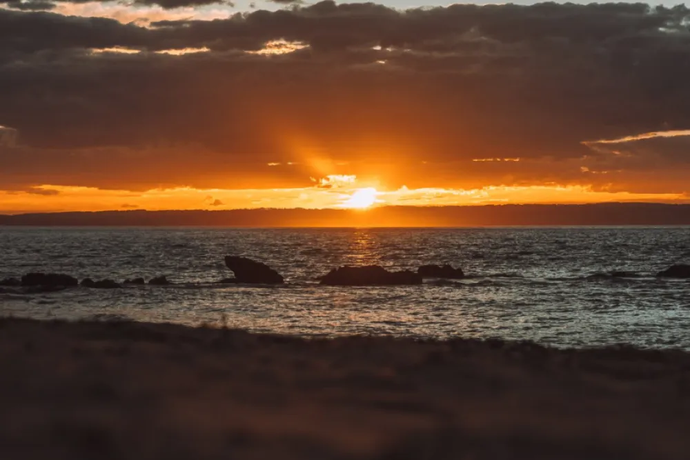 7 amazing things to do on Philip Island