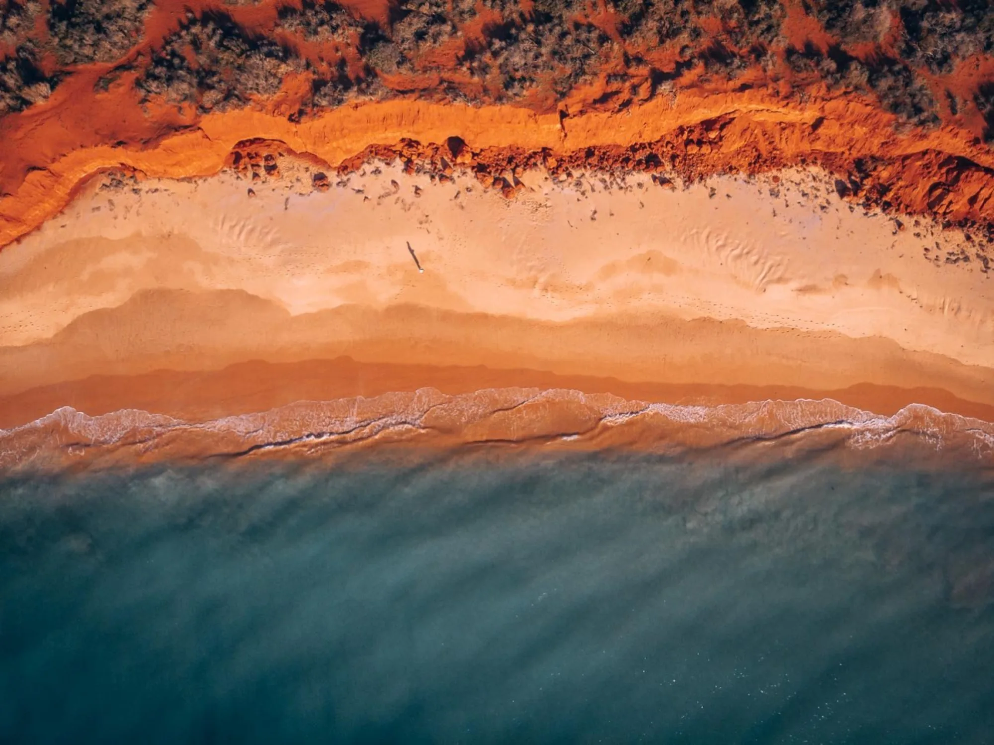 11 amazing things to do in Shark Bay, Western Australia