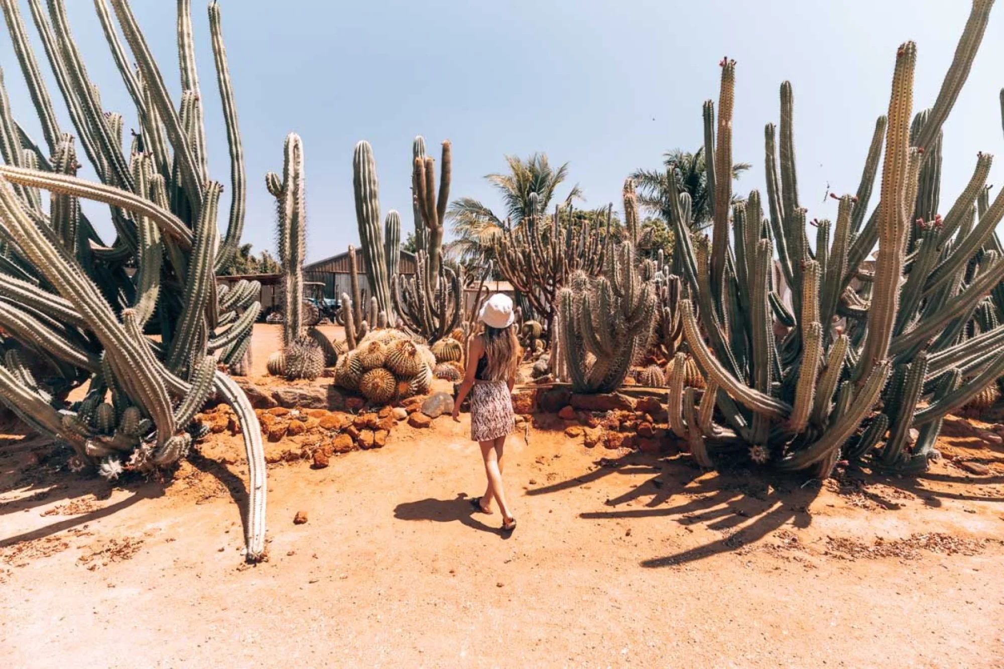 14 great things to do in Carnarvon, Western Australia