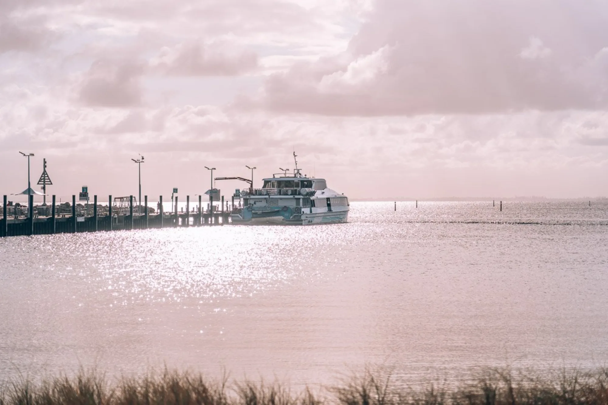 The perfect one day trip to rottnest island (2022 guide)