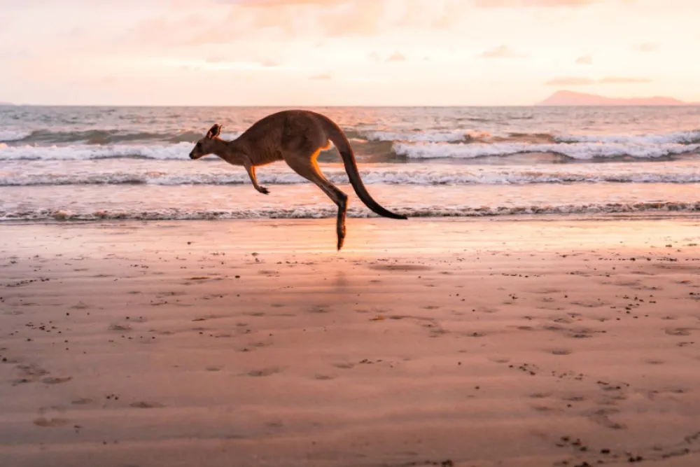 Cairns to Brisbane: the perfect East Coast road trip in Australia