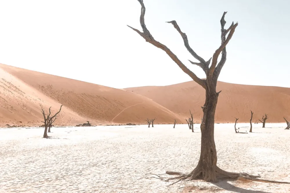 Self-drive Namibia: Budget for 2 weeks camping in Namibia