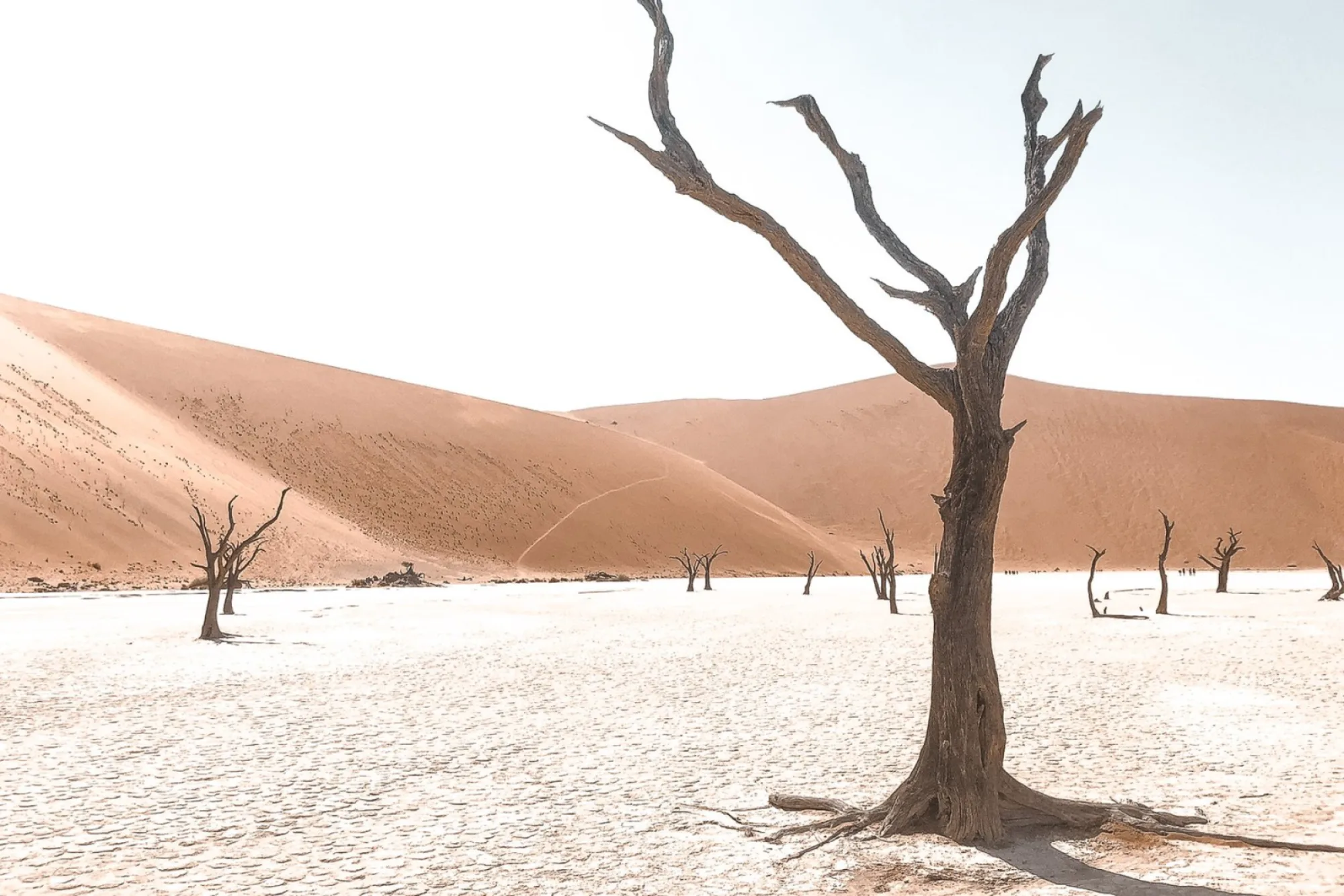 Self-drive Namibia: Budget for 2 weeks camping in Namibia