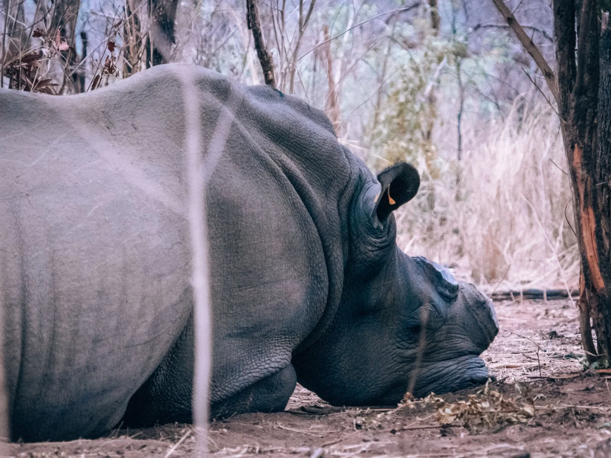 Bucketlist: Matobo National Park in Zimbabwe